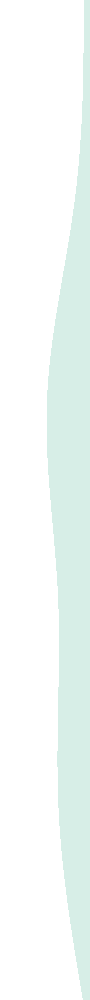 https://www.socialshakes.com/wp-content/uploads/2021/07/Mint-detail-right.png
